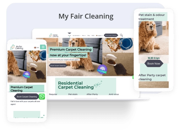 My fair cleaning case study